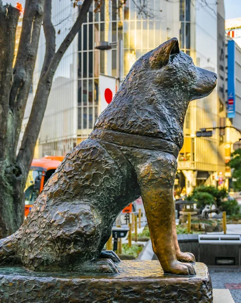 Hachiko Köpek Heykeli, Tokyo, Japonya