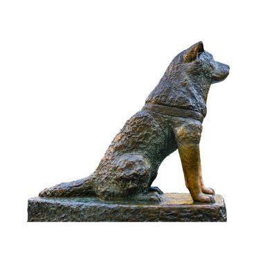 Hachiko Köpek Heykel İzole Fotoğraf