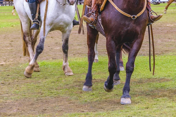 Course de chevaux, Exposition rurale, Montevideo, Uruguay — Photo