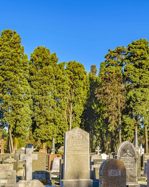 Küçük Mezarlık, Montevideo, Uruguay — Stok fotoğraf