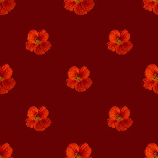Ζεστή ομορφιά Λουλούδια Motif Απρόσκοπτη μοτίβο — Φωτογραφία Αρχείου