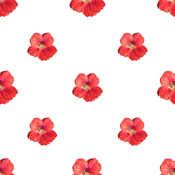 Szépség Virágok motívum zökkenőmentes minta — Stock Fotó