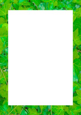 Bir şekilde dekore edilmiş kenarlıklı beyaz çerçeve