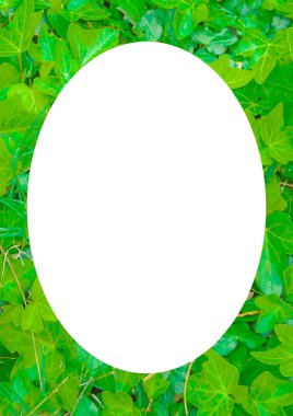 Yaprak Yuvarlak Kenarlı Beyaz Çerçeve