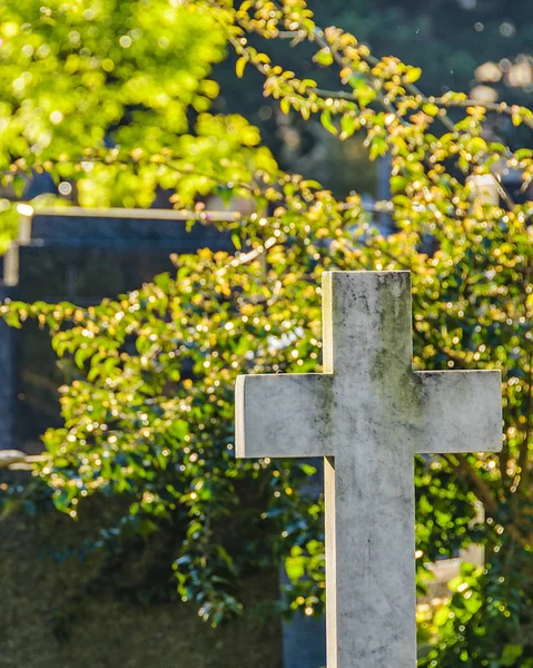 Pequeño cementerio, Montevideo, Uruguay — Foto de Stock