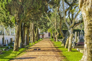 Küçük Mezarlık, Montevideo, Uruguay