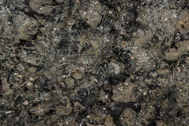 Dünya Doku Arkaplan Yüksek Karşıtlık Fotoğrafı