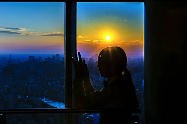 Point de vue Sky Tree Tower, Tokyo, Japon — Photo