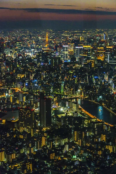 Tokyo Aerial City Night View — Φωτογραφία Αρχείου