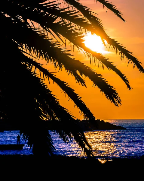 マンサビーチ夕日シルエットシーンでパンタ エステ ウルグアイ — ストック写真