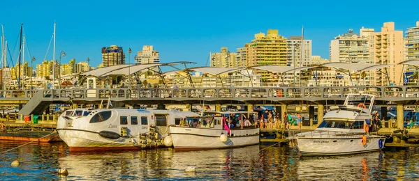 Punta Del Este Uruguay February 2020 Cityscape Scene Port Punta — стокове фото