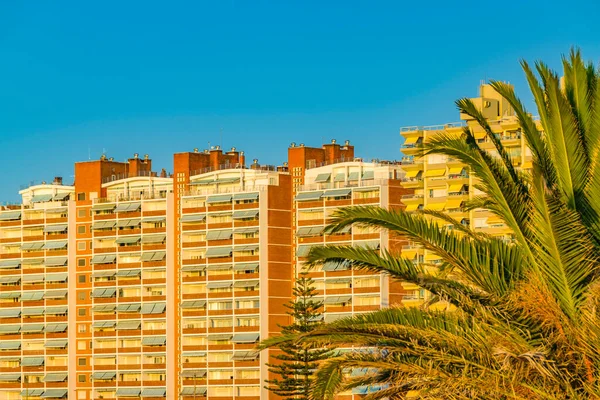 Edificios Apartamentos Frente Mar Punta Del Este Ciudad Uruguay — Foto de Stock