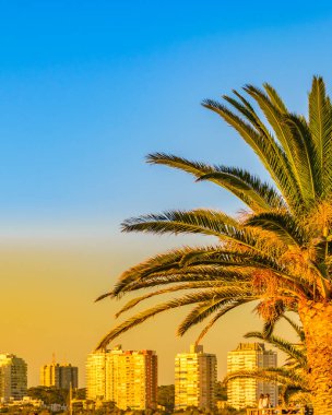 Öğleden sonra şehir manzarası scena Punta del este City, Uruguay