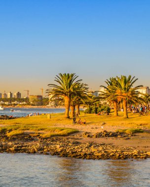 PUNTA DEL ESTE, URUGUAY, FEBRUARY - 2020 - Mansa sahilindeki sahil sahnesi, punta del este şehri, Uruguay