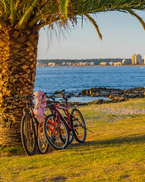 2020年2月1日至2月1日 乌拉圭 乌卢瓜伊 停放在曼萨海滩棕榈树旁的两辆自行车 — 图库照片