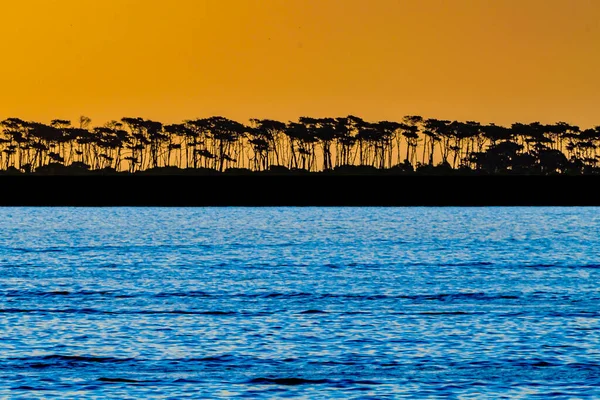 Escena Del Atardecer Isla Gorriti Playa Mansa Punta Del Este — Foto de Stock