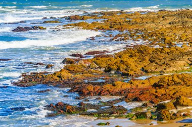 Brava sahilindeki kayalık kıyı manzarası, punta del este, uruguay