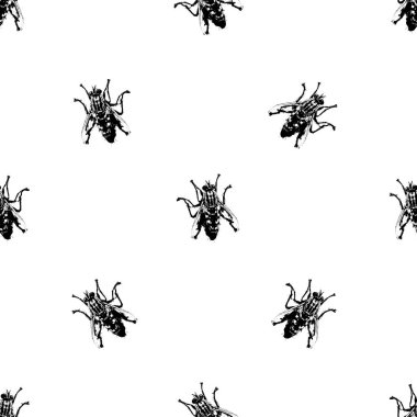 Sivri sinek çizimi motifsiz siyah beyaz desen