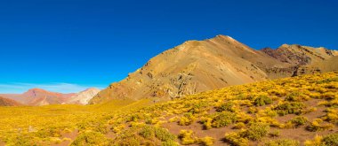 Aconcagua Milli Parkı, Mendoza Bölgesi, Arjantin