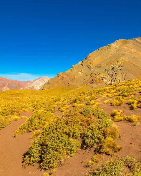 Arid Landschap Scène Aconcagua Nationaal Park Mendoza Provincie Argentinië — Stockfoto