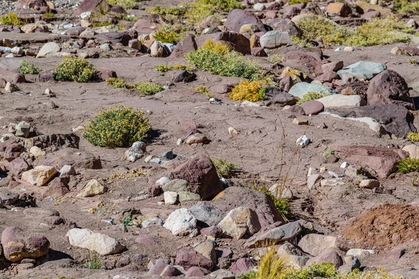 Arid Landskap Stenig Mark Scen Akoncagua Nationalpark Mendoza Provinsen Argentina — Stockfoto