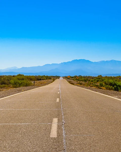 Argentina San Juan省干旱景观环境中的空旷公路 — 图库照片