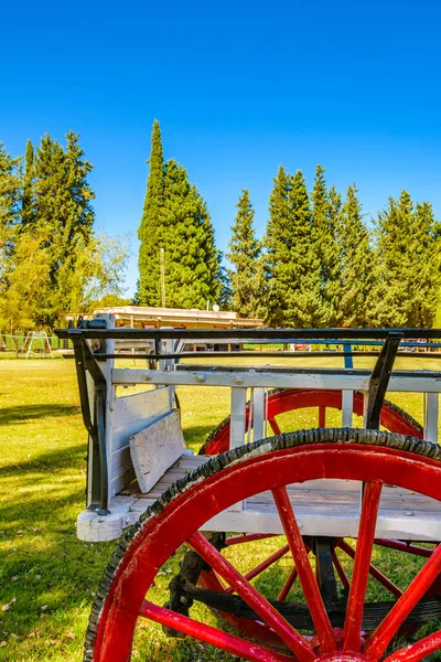 Wooden Carriage Peaceful Countryside Landscape Scene San Juan Province Argentina — Stock Photo, Image