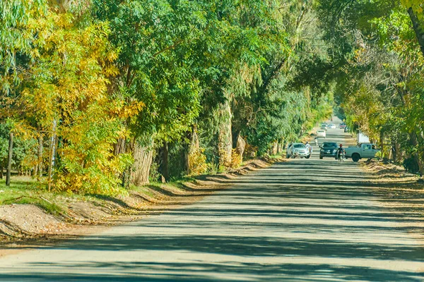 Пусті Ліси Проспект Barreal Village Сан Хуан Провінція Аргентина — стокове фото