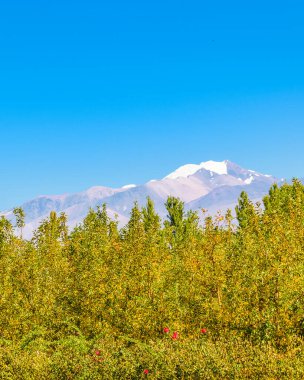 San Juan, Arjantin 'deki huzurlu kırsal alan manzarası
