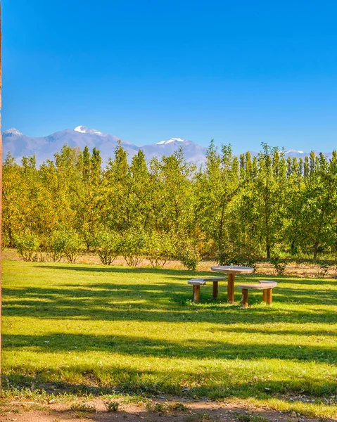 Peaceful countryside landscape scene at san juan province, argentina