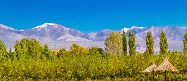 Peaceful countryside landscape scene at san juan province, argentina