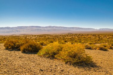 El Leoncito Milli Parkı, Calingasta Bölgesi, San Juan Bölgesi, Arjantin 'deki boş manzara.