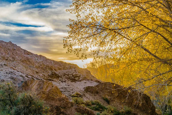 Scena Paesaggistica Vuota Nel Parco Nazionale Del Leoncito Quartiere Calingasta — Foto Stock