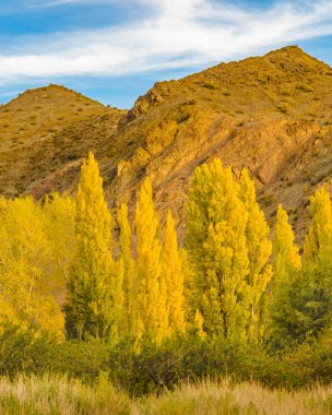 And Dağları manzarası El Leoncito Milli Parkı, Calingasta Bölgesi, San Juan Bölgesi, Arjantin