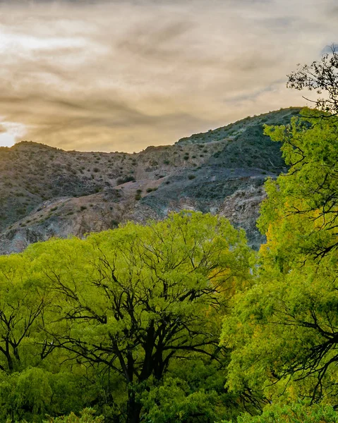 Andes Hory Krajina Scéna Leoncito Národního Parku Calingasta Okres San — Stock fotografie