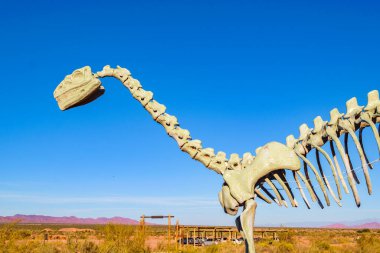 Dinozorlar Talampaya Ulusal Parkı, la rioja Bölgesi, Arjantin 'de modellik yapıyor.