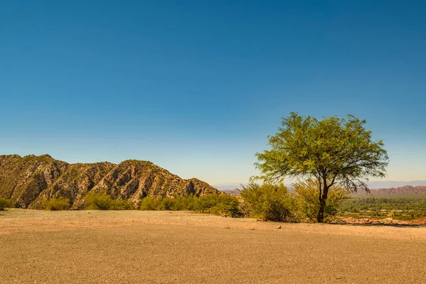 Empty arid landscape at san juan province, argentina