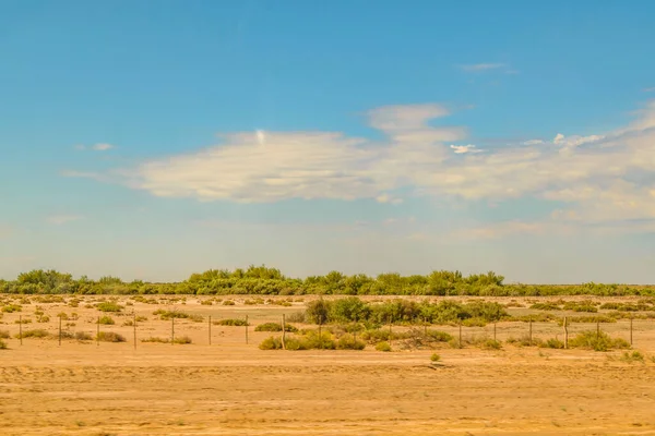 Campagna Giornata Sole Scenario Paesaggistico San Juan Provincia Argentina — Foto Stock