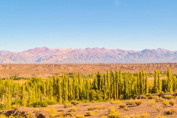 Landsbygd Solig Dag Landskap Scen San Juan Provinsen Argentina — Stockfoto