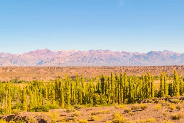 Countryside Sunny Day Landscape Scene San Juan Province Argentina — Stock Photo, Image