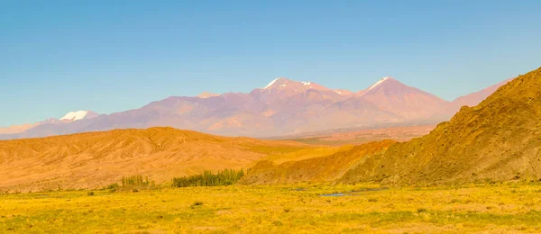 Platteland Zonnige Dag Landschap Scène Provincie San Juan Argentinië — Stockfoto