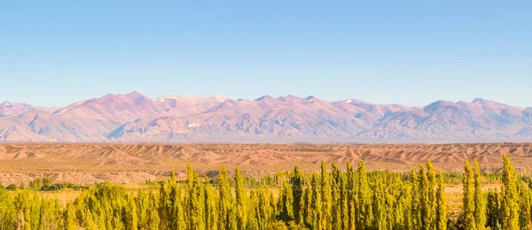 Countryside Sunny Day Landscape Scene San Juan Province Argentina — Stock Photo, Image