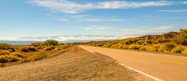 Puna arazisindeki boş otoyol, la rioja bölgesi, Arjantin