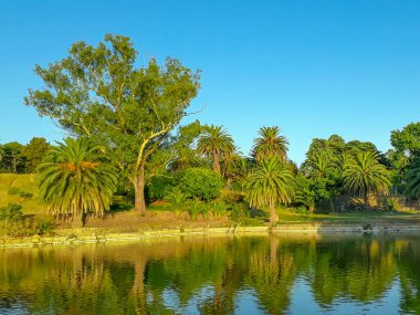 Parque Rodo Park 'ta güneşli bir gün, Montevideo, uruguay