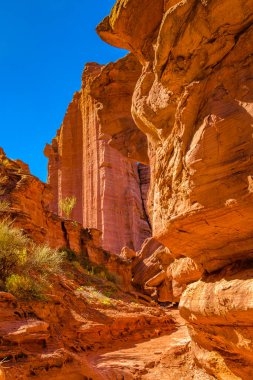 Talampaya Ulusal Parkı 'ndaki gündüz manzarası, la rioja bölgesi, Arjantin