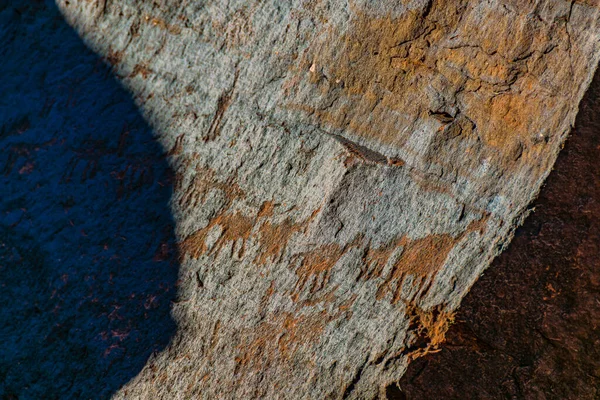 Arte Petroglifos Sudamericanos Parque Nacional Talampaya Provincia Rioja Argentina —  Fotos de Stock