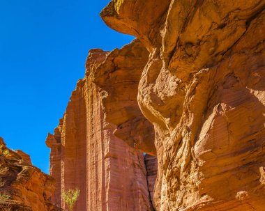 Talampaya Ulusal Parkı 'ndaki gündüz manzarası, la rioja bölgesi, Arjantin