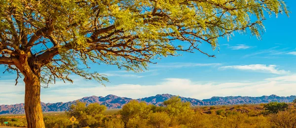 Tageslandschaft Talampaya Nationalpark Provinz Rioja Argentinien — Stockfoto