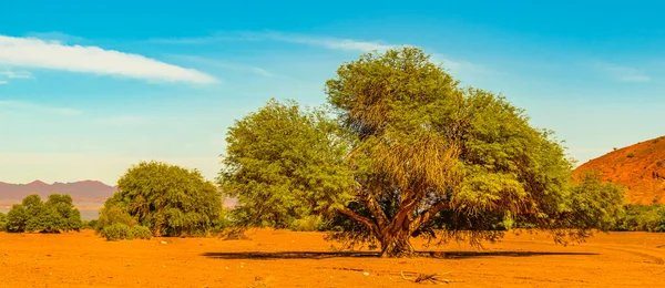 Μέρα Τοπίο Σκηνή Στο Εθνικό Πάρκο Talampaya Rioja Επαρχία Argentina — Φωτογραφία Αρχείου