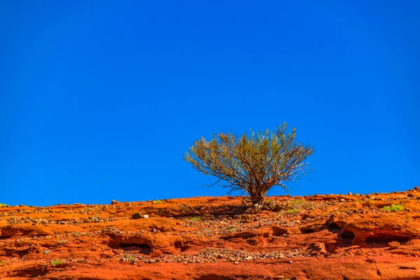 Dag Landskap Scen Talampaya Nationalpark Rioja Provinsen Argentina — Stockfoto